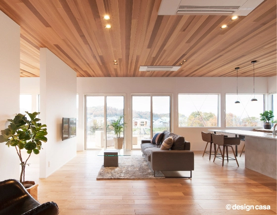 Lianの建築家デザイン住宅のリビングダイニング